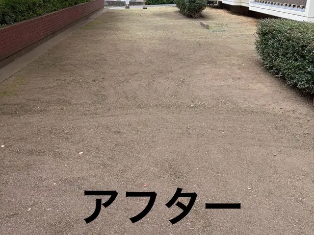 【6月出店】300件以上の実績！プロの技で根本から美しくサービスの画像