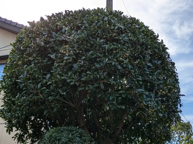 ◎予約から施工まで100%自社対応◎アフターフォローも万全サービスの画像