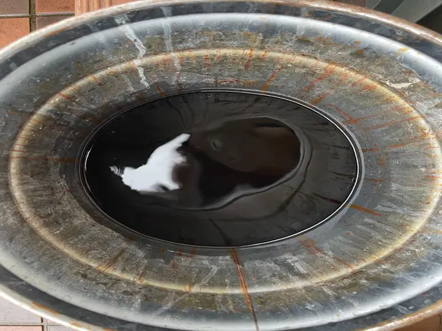 分解施錠で徹底的にキレイ☆店舗の清掃高所対応《天井埋込タイプ》高所でも対応可能サービスの画像