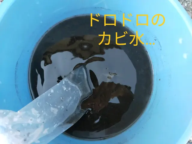 丁寧な作業と接客を心掛けております！♢複数台割引♢☆口コミ高評価店☆サービスの画像