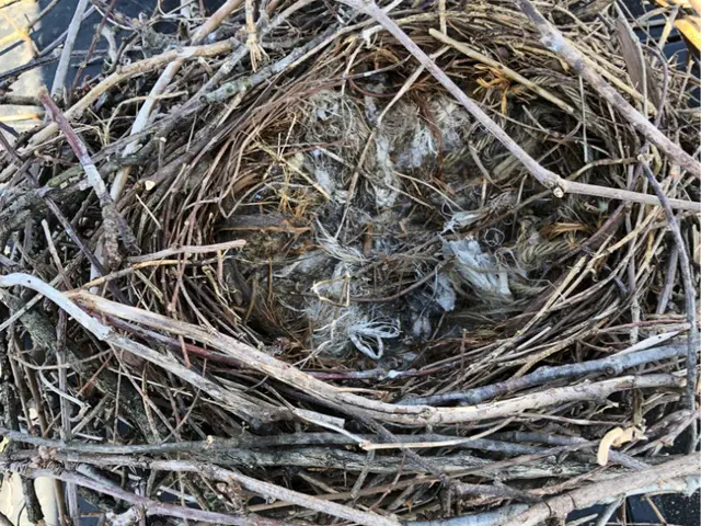 【損保加入・完全自社施工で安心安全】土日祝も対応・クレジットカード使用可能◎サービスの画像