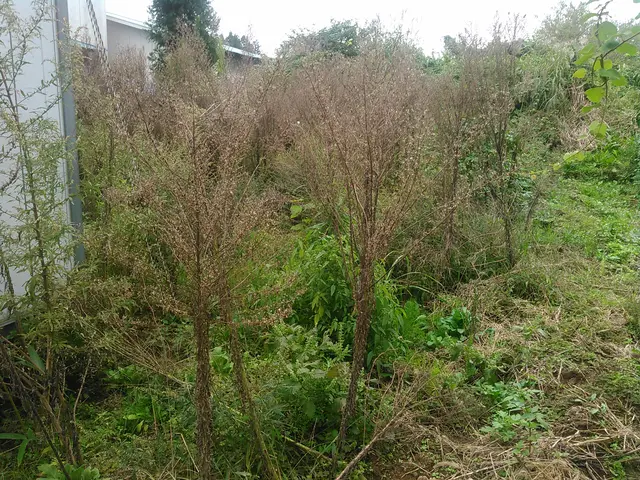 【年中無休で伺います！】作業外注なし◎駐車場代お店負担♪対応地域外も相談可能サービスの画像