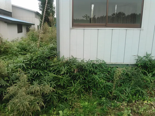 【年中無休で伺います！】作業外注なし◎駐車場代お店負担♪対応地域外も相談可能サービスの画像