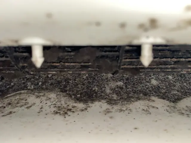 ✿完全分解対応店✿除菌仕上✿３人娘のシンママ店長が全現場お伺い♪扇風機洗浄対応可サービスの画像