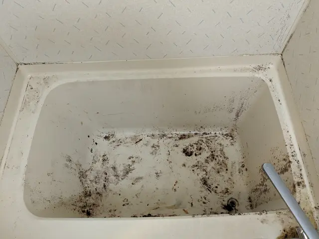 【大手での業務経験有】引越し前後のお部屋を徹底的にキレイに仕上げます☆サービスの画像