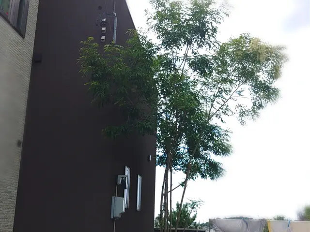 ①安心のお会計②１００％自社対応③ご相談、見積り無料サービスの画像