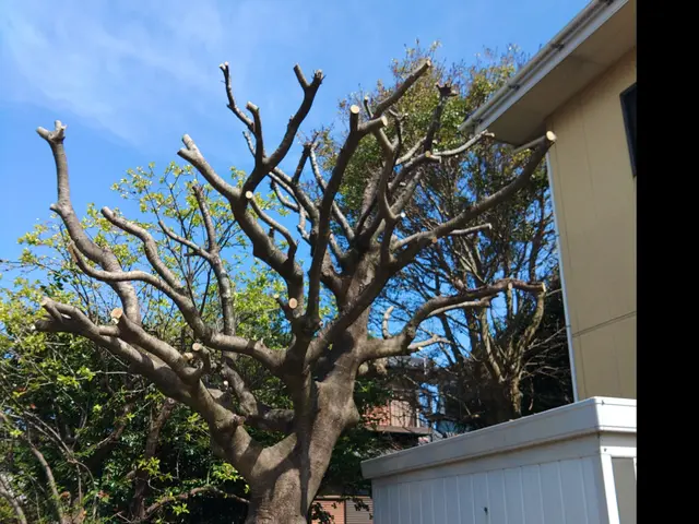 ①安心のお会計②１００％自社対応③ご相談、見積り無料サービスの画像