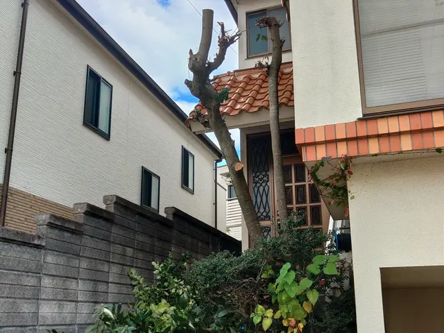 ①安心のお会計②１００％自社対応③ご相談、見積り無料サービスの画像