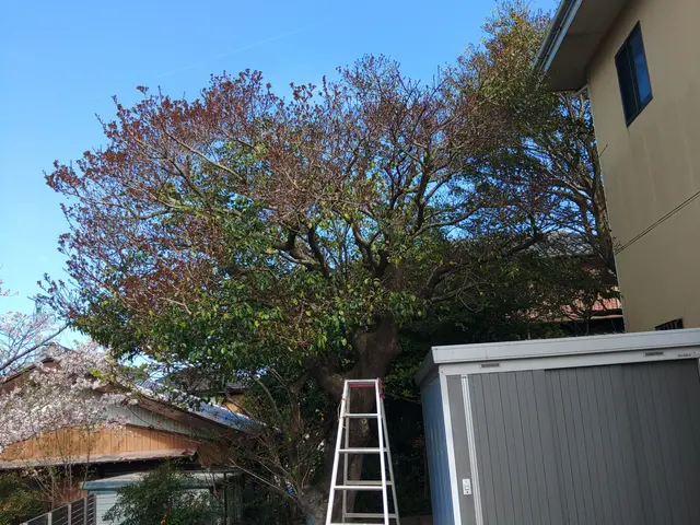 ①安心のお会計②１００％自社対応③ご相談、見積り無料サービスの画像