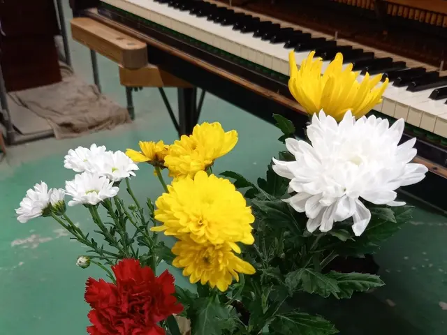 首都圏を中心に、ピアノ調律承っています【1級ピアノ調律技能士】調律師歴30年。サービスの画像