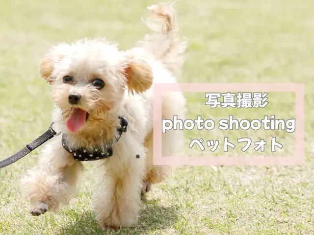 ◇お着物フォトグラファー エポフォト◇広告撮影歴20年◎笑顔を引き出すプロが撮影