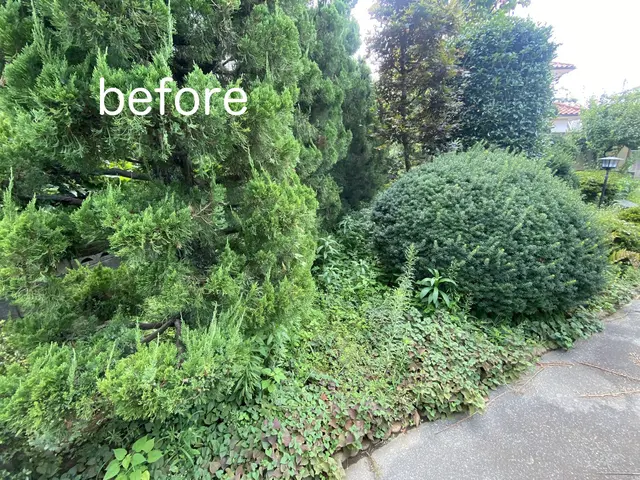 空き家・ご実家お任せ下さい！不動産管理者の安心草刈りサービスサービスの画像