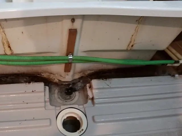 お風呂・浴室クリーニングでカビ・排水溝をしっかりと除去して水栓金具もピカピカサービスの画像