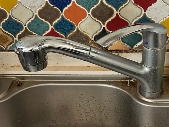 ◎損害保険加入済み！駐車場代お店負担！300件の実績！法人からの依頼もあり！サービスの画像