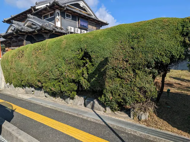 北葛城郡上牧町発【業歴20年の経験と実績！】作業外注なし！駐車代お店負担！サービスの画像