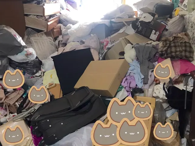 訪問実績７５０件★あなたに合ったベストな片づけ法見つけます　ENGLISH　OKサービスの画像