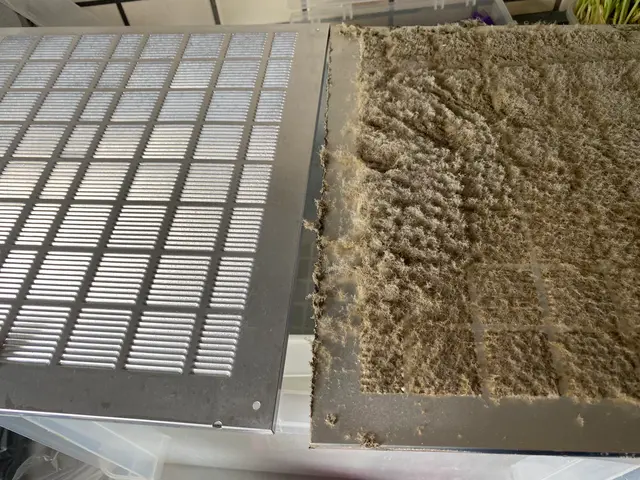 女性スタッフまたは夫婦でお伺いします☆サービスの画像