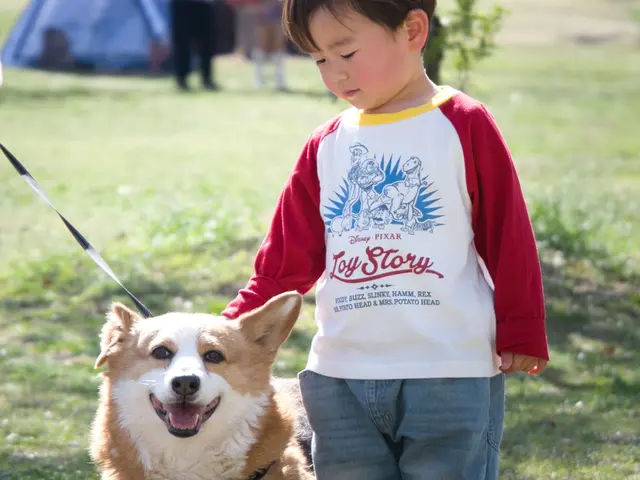 プロの技術でご満足いただけるように心を込めて撮影いたします