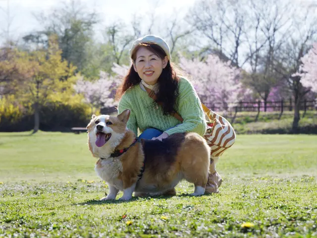 プロの技術でご満足いただけるように心を込めて撮影いたします