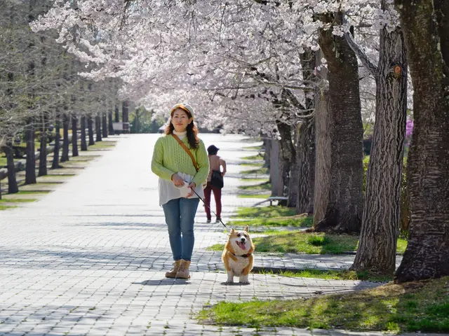 プロの技術でご満足いただけるように心を込めて撮影いたします