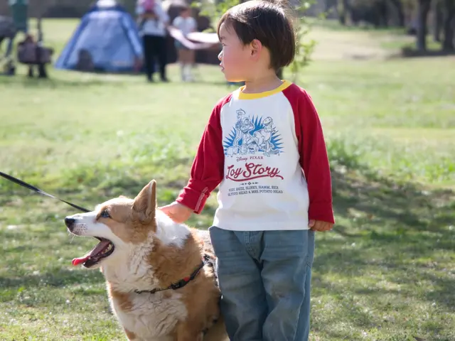 プロの技術でご満足いただけるように心を込めて撮影いたします