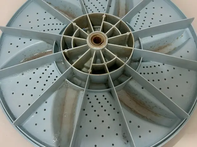 「嫌な臭い」、「カビ」が気になりましたら洗濯機内部洗浄を！サービスの画像