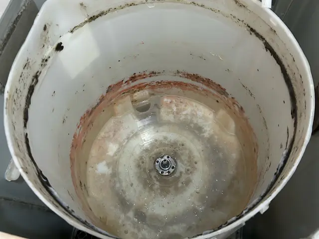 「嫌な臭い」、「カビ」が気になりましたら洗濯機内部洗浄を！サービスの画像