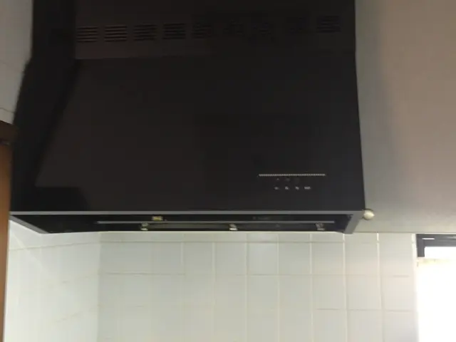 人に優しい植物性洗剤♪レンジフード全機種対応！サービスの画像