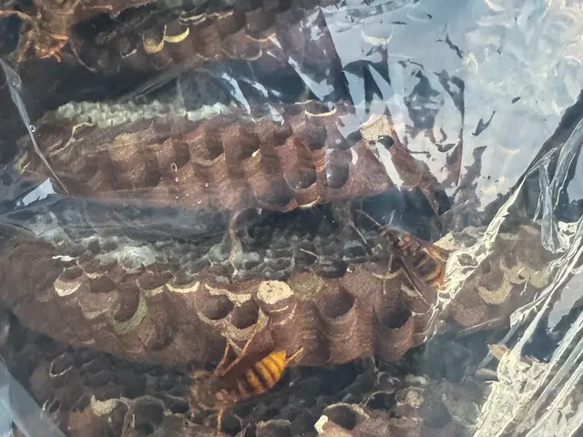 【年中無休・地域密着】お困りの際はお気軽にご相談ください！サービスの画像