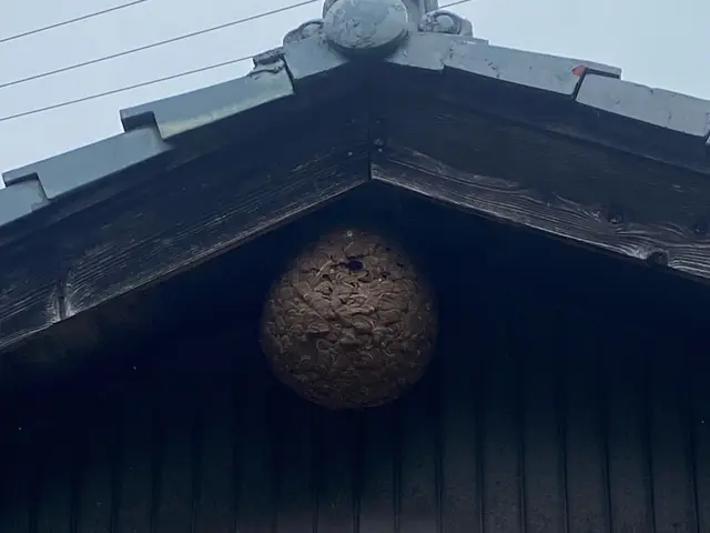 【年中無休・地域密着】お困りの際はお気軽にご相談ください！サービスの画像
