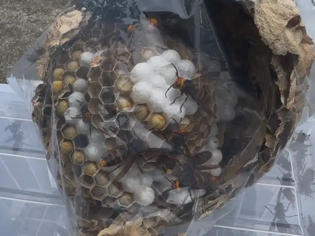 【年中無休・地域密着】お困りの際はお気軽にご相談ください！サービスの画像