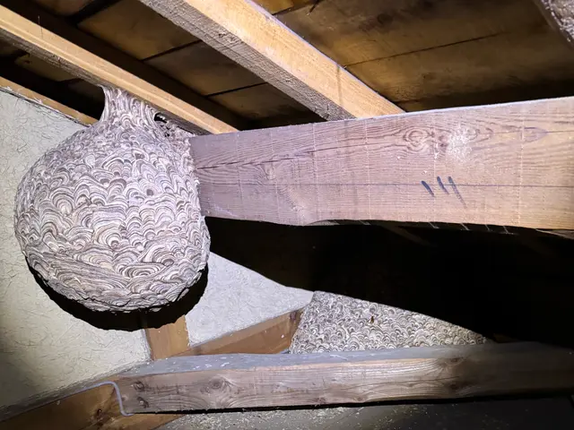 【年中無休・地域密着】お困りの際はお気軽にご相談ください！サービスの画像