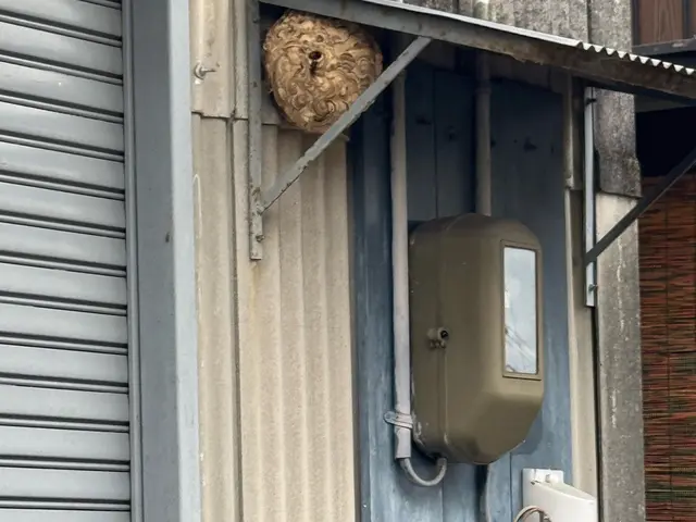 【年中無休・地域密着】お困りの際はお気軽にご相談ください！サービスの画像