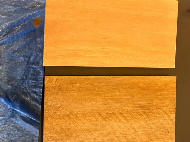 室内ドア　ダイノックシート貼り付けサービスの画像