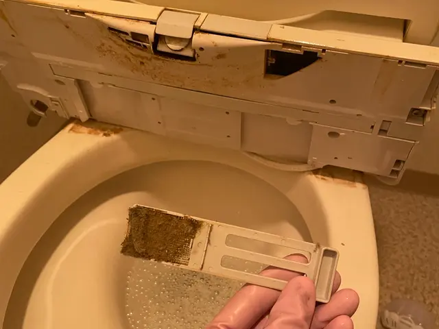 ◉ARUZIオーストラリアでの実績多数！◉お客様との関係を最重要視致しておりますサービスの画像