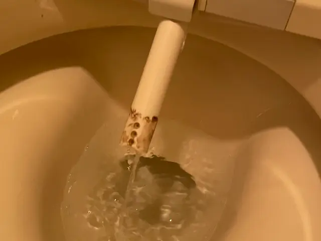 ◉ARUZIオーストラリアでの実績多数！◉お客様との関係を最重要視致しておりますサービスの画像