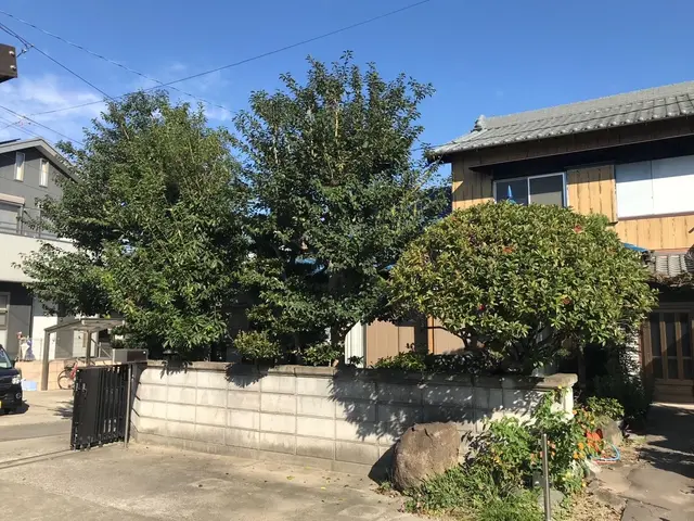 庭木の剪定、刈込。お客様のご要望に合わせ、丁寧に作業させて頂きます！サービスの画像