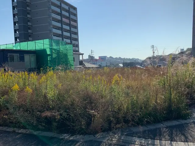 庭木の剪定、刈込。お客様のご要望に合わせ、丁寧に作業させて頂きます！サービスの画像