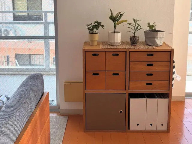 《整理収納/お片付けサポート》お部屋をすっきりと暮らしやすくするお手伝いサービスの画像