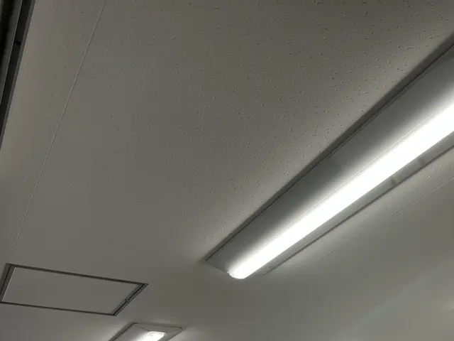 豊富な経験と知識で安心！仕上がり重視で丁寧に作業いたします！サービスの画像