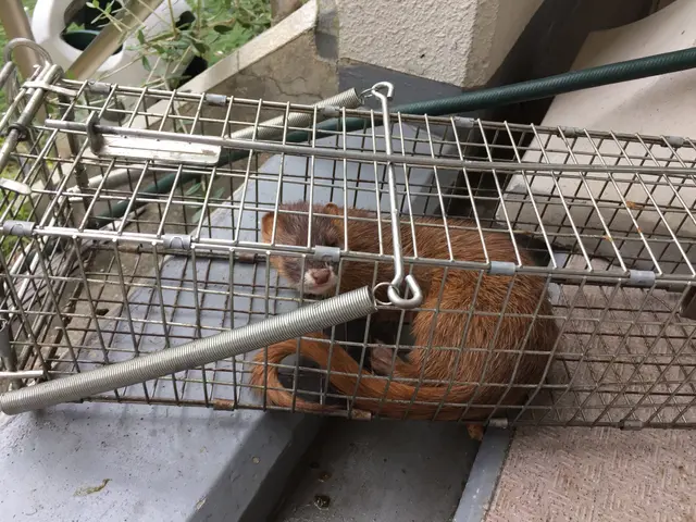 【アワード金賞受賞店舗！】【顧客第一主義】◎損保1億円加入◎ 〓ぼったくり撲滅〓サービスの画像