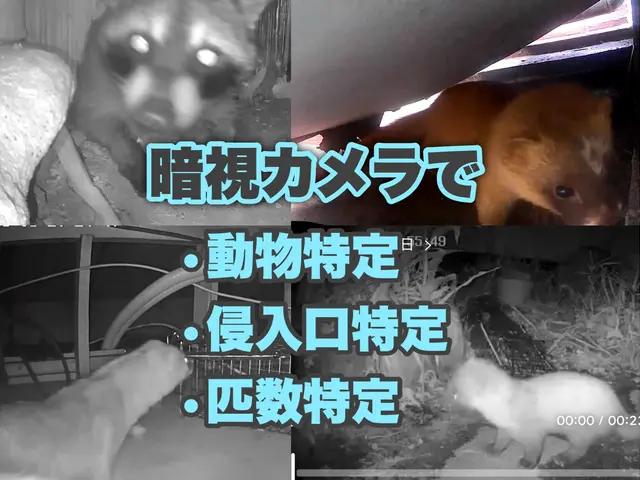 【アワード金賞受賞店舗！】【顧客第一主義】◎損保1億円加入◎ 〓ぼったくり撲滅〓サービスの画像