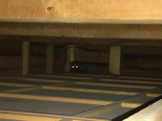 【アワード金賞受賞店舗！】【顧客第一主義】◎損保1億円加入◎ 〓ぼったくり撲滅〓サービスの画像