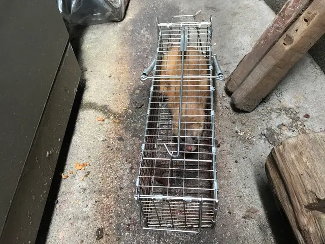 【アワード金賞受賞店舗！】【顧客第一主義】◎損保1億円加入◎ 〓ぼったくり撲滅〓サービスの画像