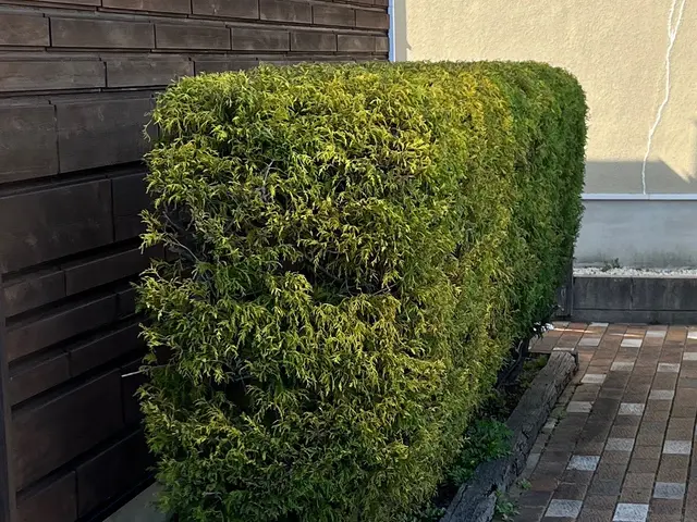 作業外注一切なし◎駐車場代お店負担♪豊富な経験と知識で安心！サービスの画像