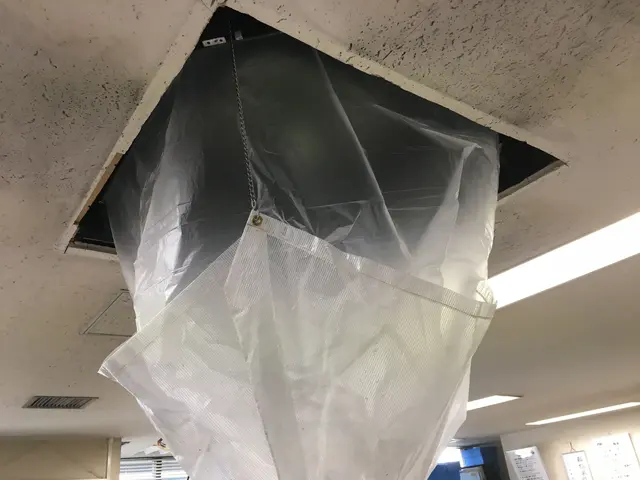 【女性スタッフ同行可能】大手での業務経験あり◉損害保険加入済みです！サービスの画像