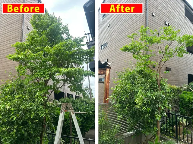 安心丁寧！ 整えるだけで、うれしくなる庭にサービスの画像