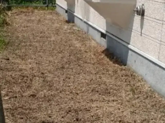 ついつい後回しにしがちな手におえない草取り任せてください！スッキリさせますサービスの画像