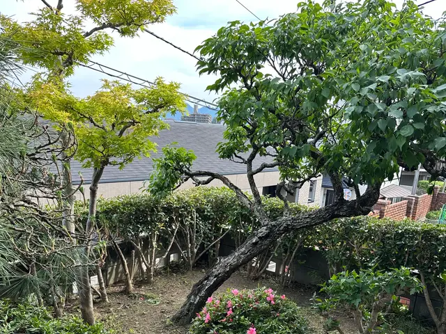 お客様から信頼いただけるよう、一つ一つの作業を迅速丁寧に対応します！サービスの画像