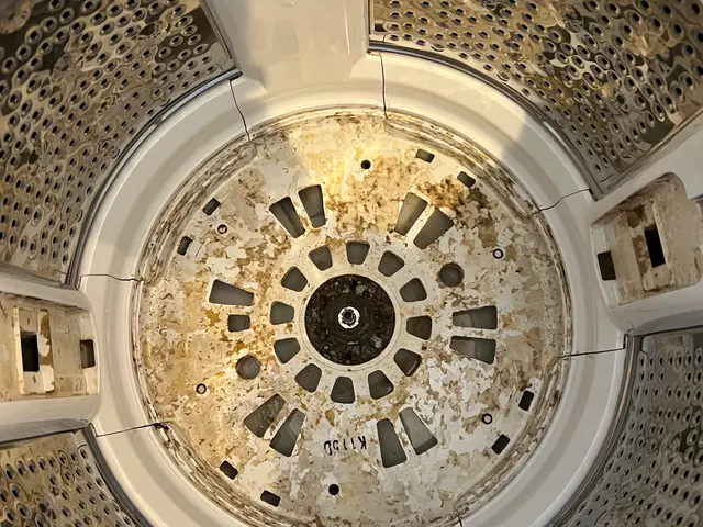 ◉仕上がり重視で丁寧に作業しますサービスの画像